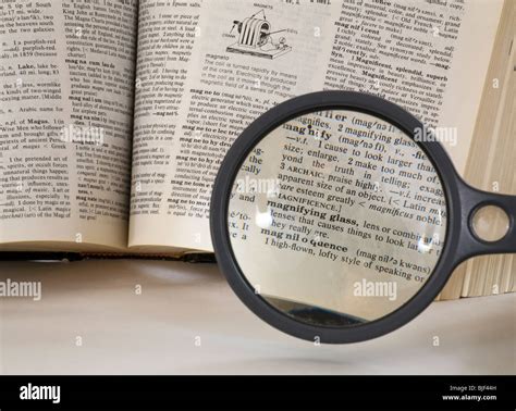 magnify in English .